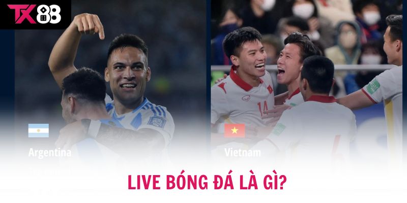 “Live Bóng Đá là gì?” mà sao càng xem càng thích